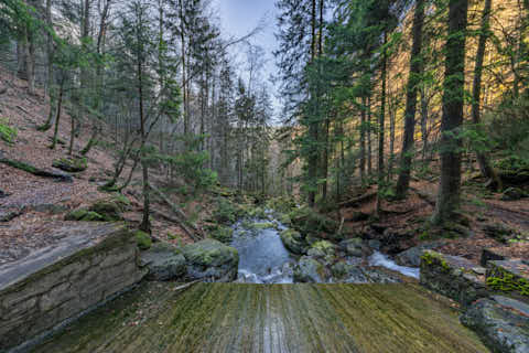 Gemeinde Bodenmais Landkreis Regen Rieslochfälle (Dirschl Johann) Deutschland REG